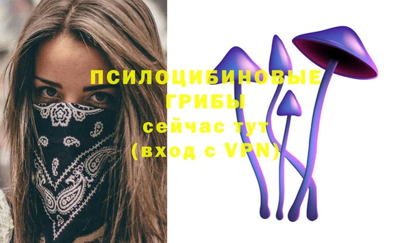 сатива Видное